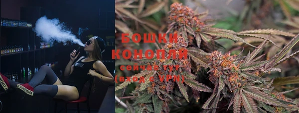 шишки Иннополис