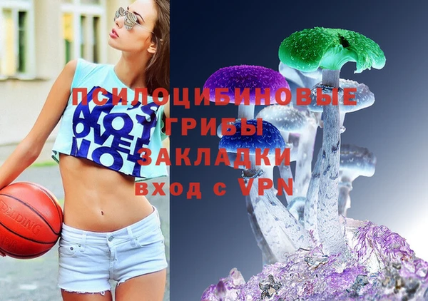 ешки Богданович