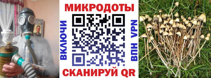 даркнет сайт  omg ТОР  Псилоцибиновые грибы мицелий  Болотное 